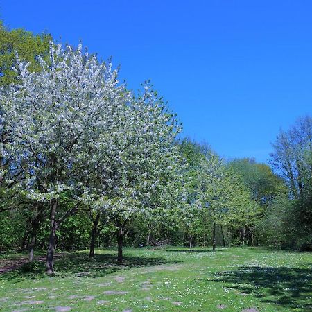 希尔克道夫Panoramic App A03-5公寓 外观 照片